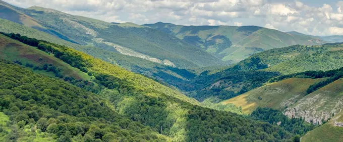 Naturaleza en estado puro